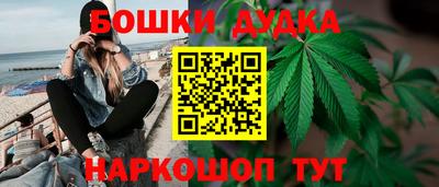 ECSTASY Лесосибирск