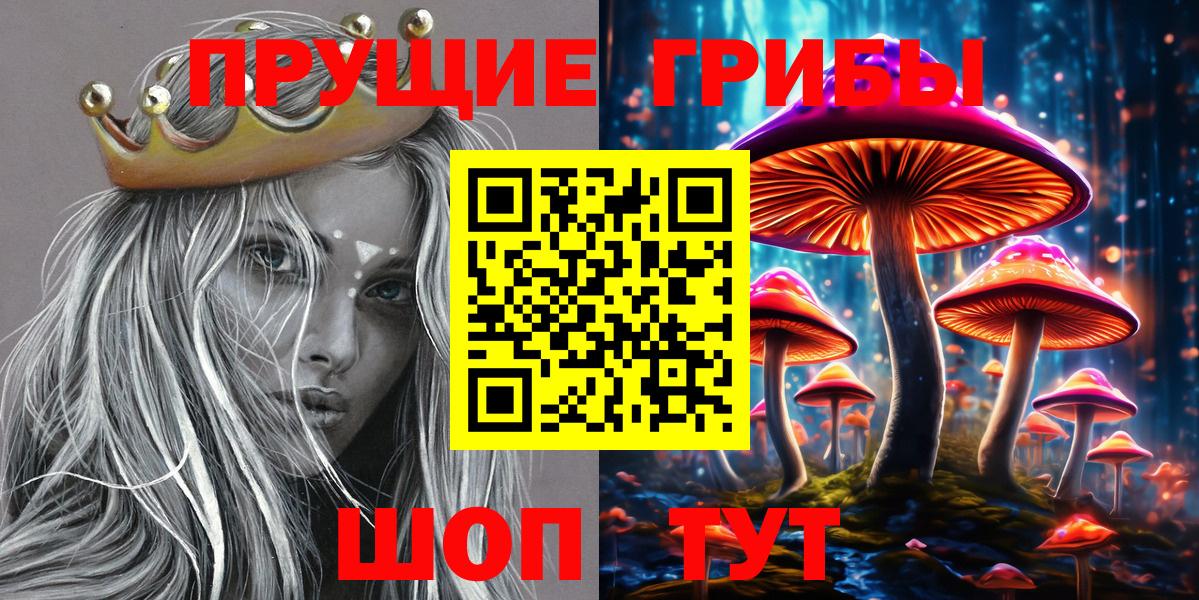 Псилоцибиновые грибы MAGIC MUSHROOMS  Вход с VPN  Галлюциногенные грибы GOLDEN TEACHER  Каменка 
