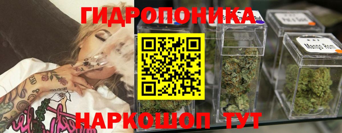 Канабис семена  Конопля LSD WEED  Каннабис семена  Вход с VPN  Каменка 